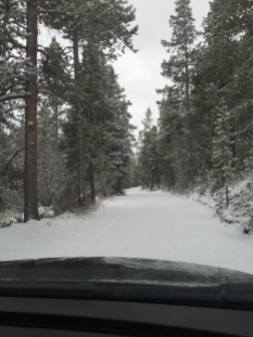 The small snow-covered road we drove on.
